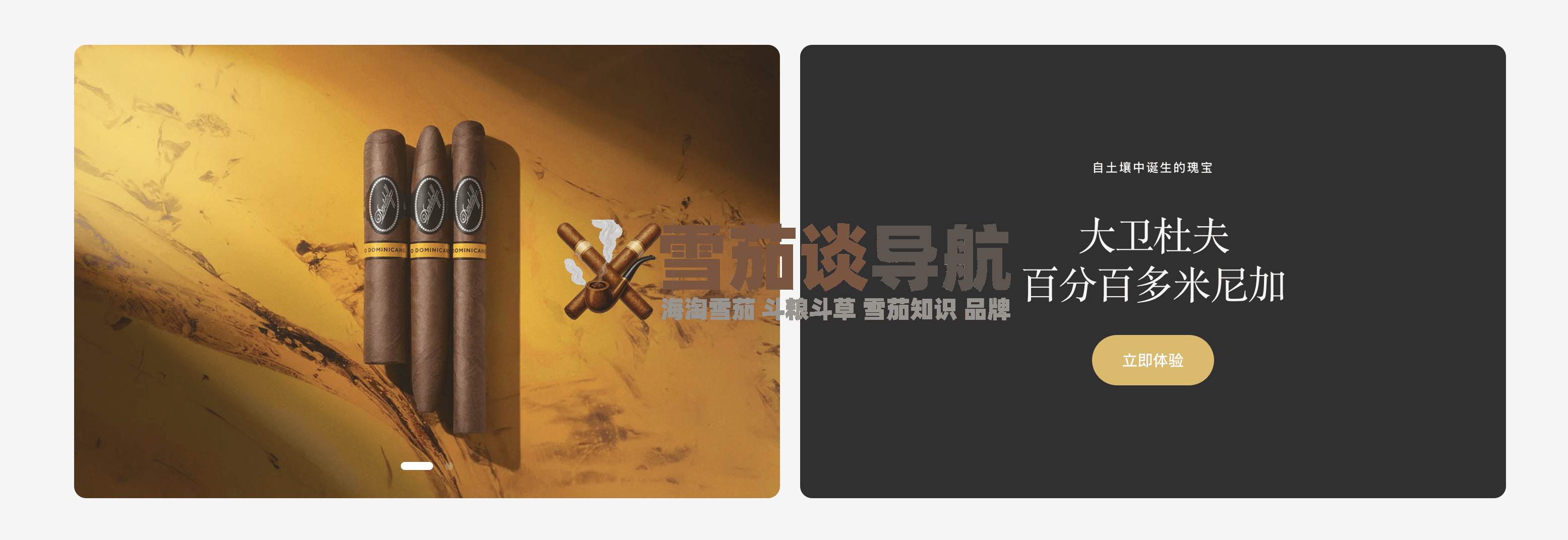 next站雪茄