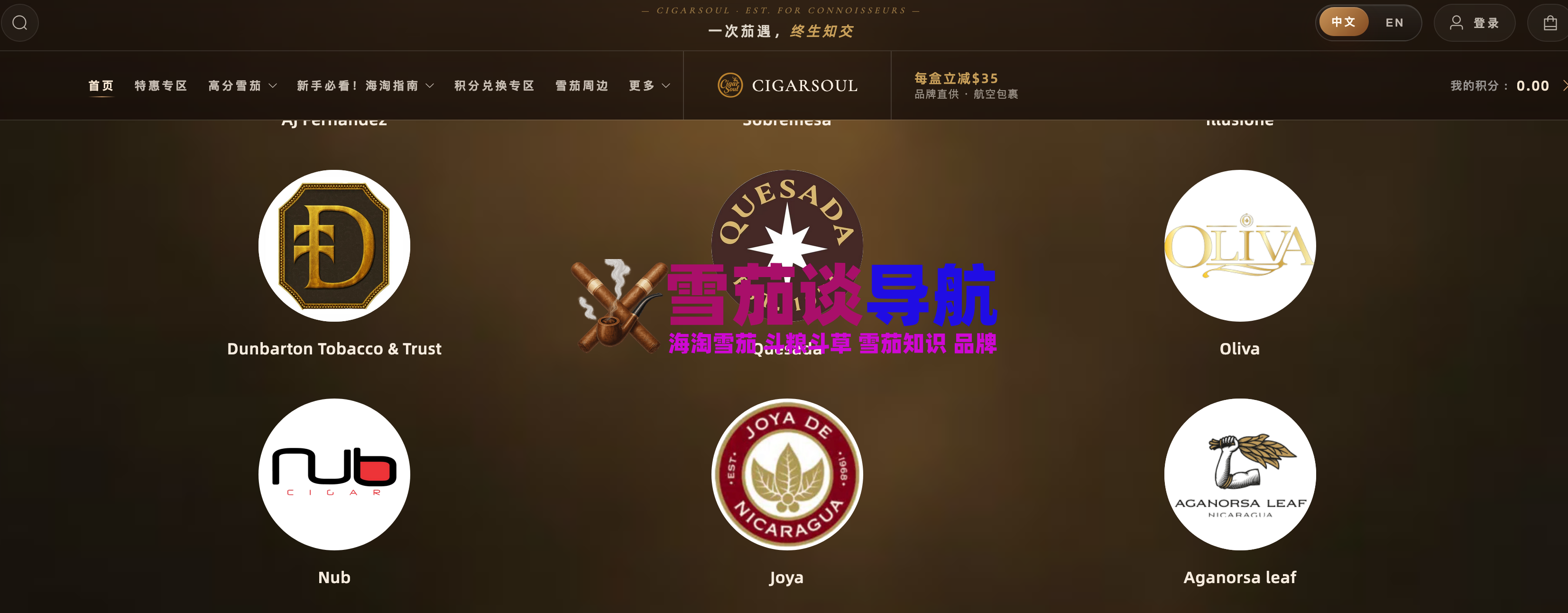 灵魂站雪茄