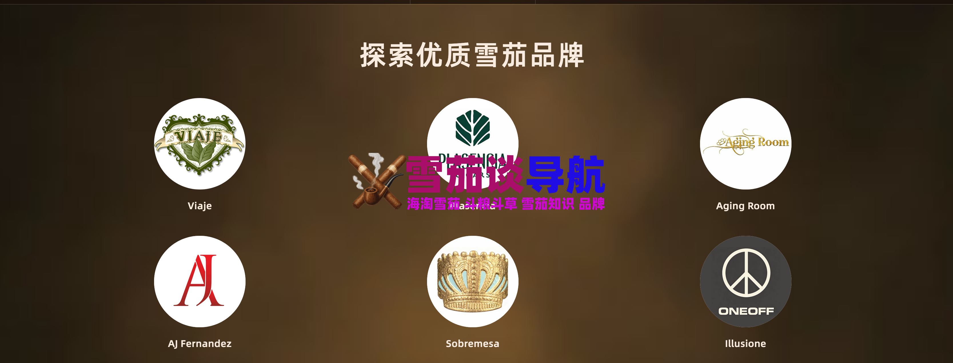 灵魂站雪茄